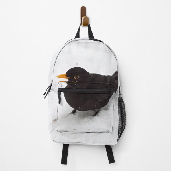 Item preview, Getting close. Eurasian blackbird designed and sold by Jouko Lehto Photography.