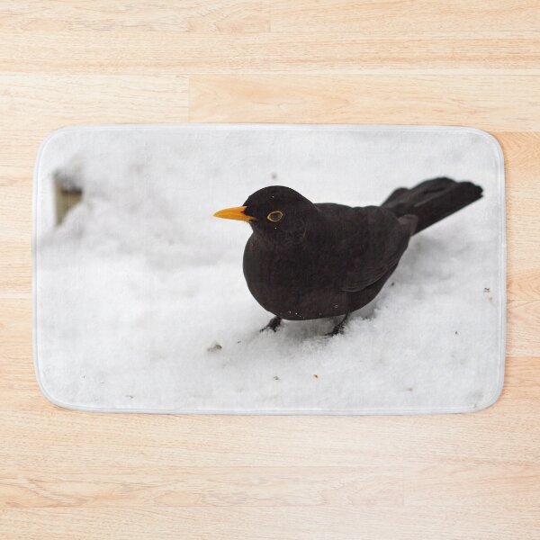 Item preview, Getting close. Eurasian blackbird designed and sold by Jouko Lehto Photography.