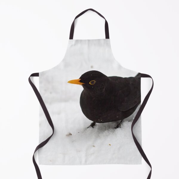 Item preview, Getting close. Eurasian blackbird designed and sold by Jouko Lehto Photography.