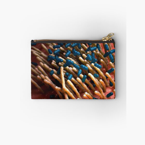 Item preview, STK701649H-The bacterial disease pertussis designed and sold by StocktrekImages.