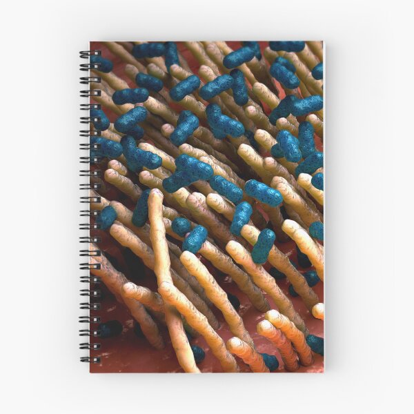 Item preview, STK701649H-The bacterial disease pertussis designed and sold by StocktrekImages.