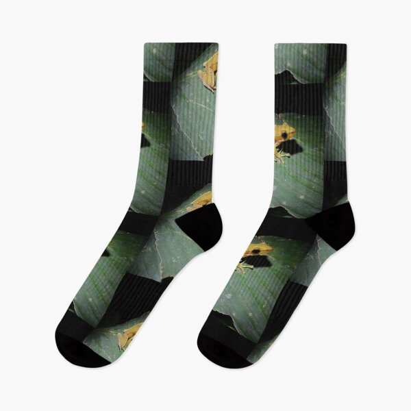 Item preview,  Beautiful nature creates work designed and sold by Anurak  Chusakuntuntiwong.