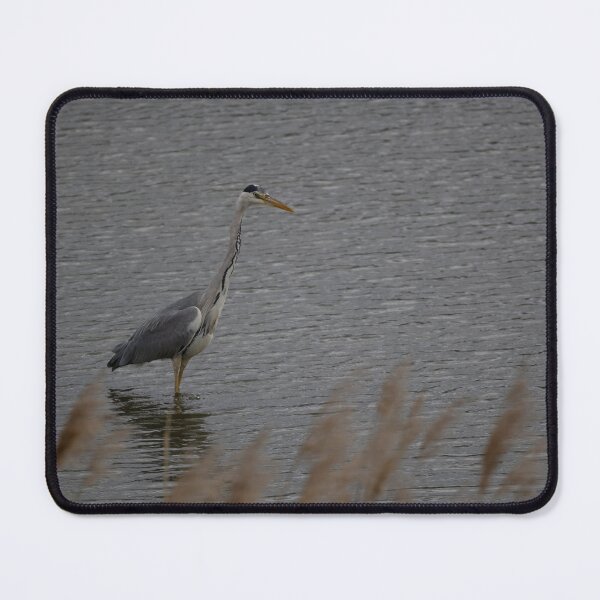 Item preview, Grey Heron designed and sold by Calidris Fotografie Steffi & Ben Köppler.