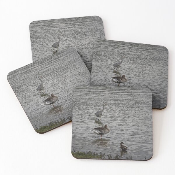 Item preview, Grey Heron, Greylag Goose and Mallard designed and sold by Calidris Fotografie Steffi & Ben Köppler.