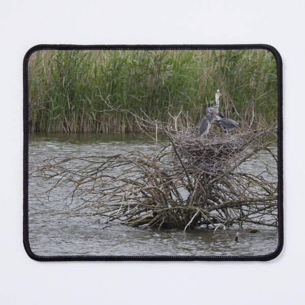 Item preview, Grey Heron designed and sold by Calidris Fotografie Steffi & Ben Köppler.