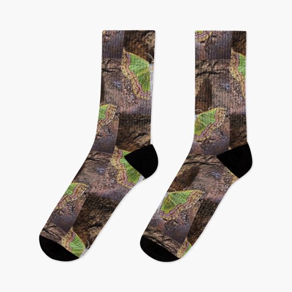 Item preview, Beautiful nature creates work designed and sold by Anurak  Chusakuntuntiwong.