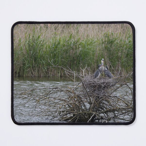 Item preview, Grey Heron Nest designed and sold by Calidris Fotografie Steffi & Ben Köppler.