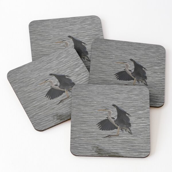 Item preview, Grey Heron landing designed and sold by Calidris Fotografie Steffi & Ben Köppler.