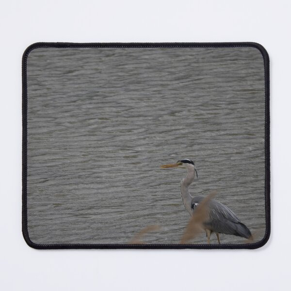 Item preview, Grey Heron designed and sold by Calidris Fotografie Steffi & Ben Köppler.