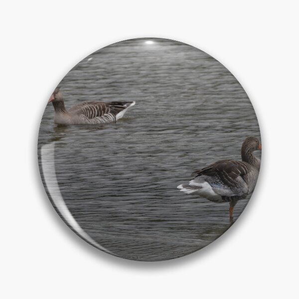 Item preview, Greylag Geese designed and sold by Calidris Fotografie Steffi & Ben Köppler.