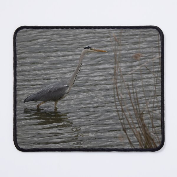 Item preview, Grey Heron designed and sold by Calidris Fotografie Steffi & Ben Köppler.