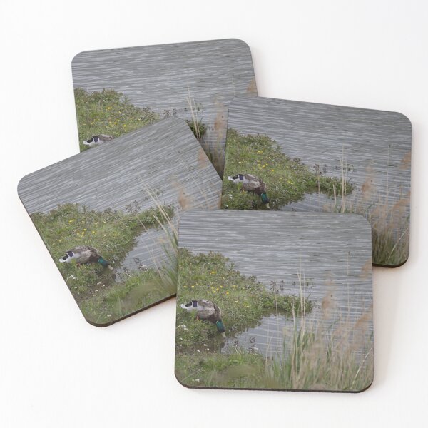 Item preview, Mallard designed and sold by Calidris Fotografie Steffi & Ben Köppler.