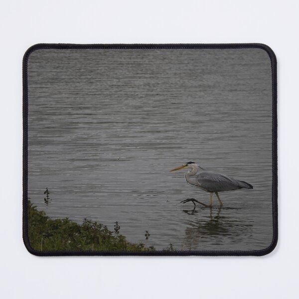 Item preview, Grey Heron designed and sold by Calidris Fotografie Steffi & Ben Köppler.