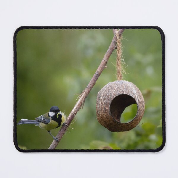 Item preview, Great Tit designed and sold by Calidris Fotografie Steffi & Ben Köppler.