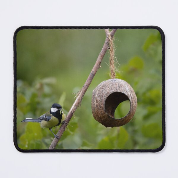 Item preview, Great Tit designed and sold by Calidris Fotografie Steffi & Ben Köppler.