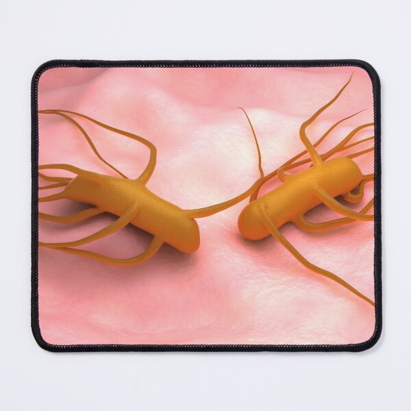 Item preview, STK701657H-Bacteria Salmonella Typhi, which causes typhoid fever. designed and sold by StocktrekImages.