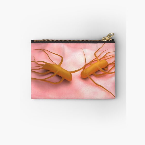 Item preview, STK701657H-Bacteria Salmonella Typhi, which causes typhoid fever. designed and sold by StocktrekImages.