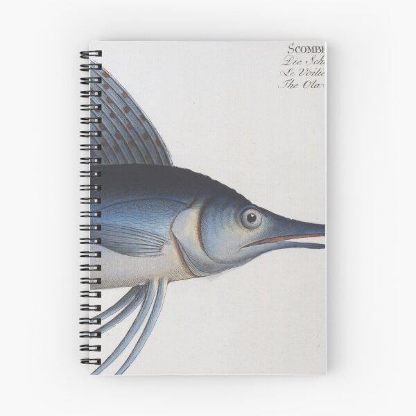 Item preview, Vintage Illustration of a Sailfish (1785) designed and sold by BravuraMedia.