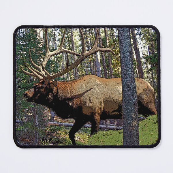 Item preview, Bull elk in pine forest designed and sold by Saltypro.