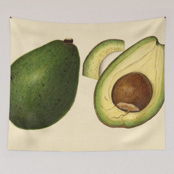 Item preview, Vintage Illustration of an Avocado 2 designed and sold by BravuraMedia.