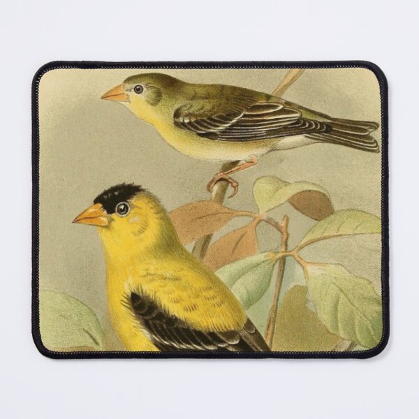 Item preview,  "European Goldfinch" - Cute Victoria Goldfinch  designed and sold by Obinne.