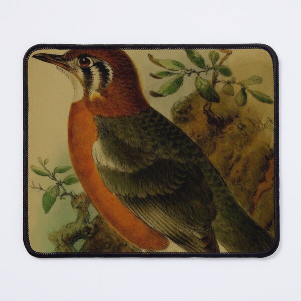 Item preview, RED FACED GOLDFINCH designed and sold by Obinne.