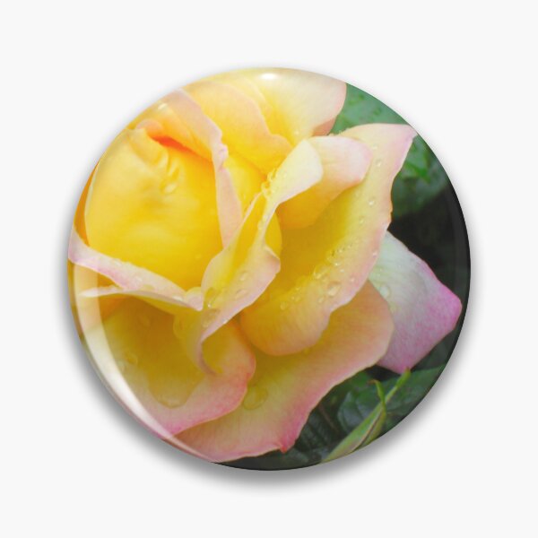 Item preview, Peace Rose Photo designed and sold by ArtVixen.
