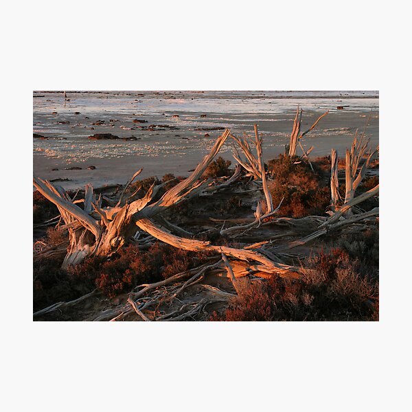 Item preview, Sea Lake designed and sold by Colin  Ewington.