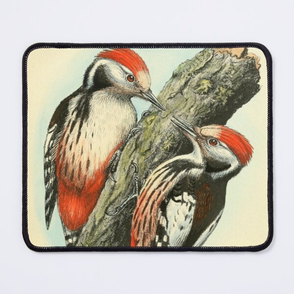 Item preview, "Red Faced Goldfinch" - Meme designed and sold by Obinne.