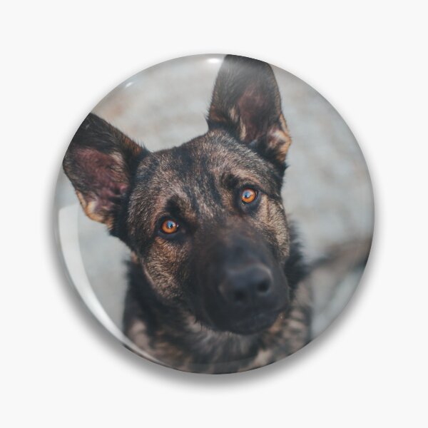 Item preview, German Shepherd Dog designed and sold by WeightPulling.