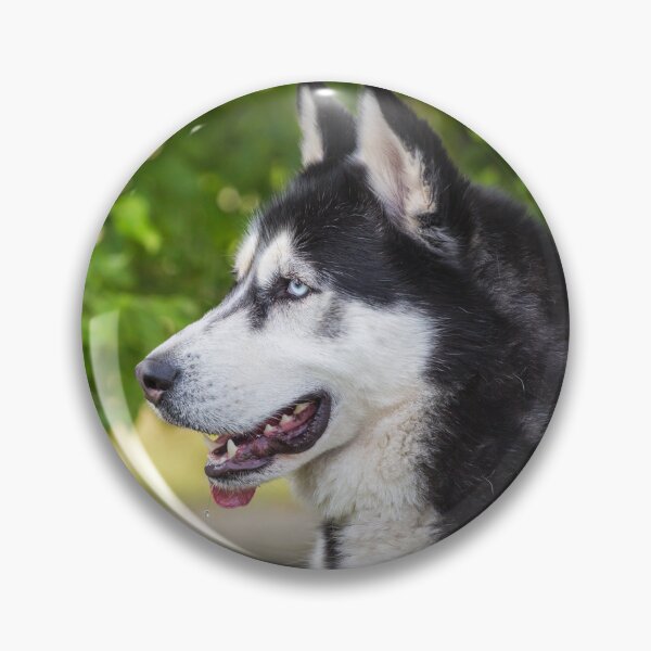 Item preview, Alaskan Malamute designed and sold by WeightPulling.