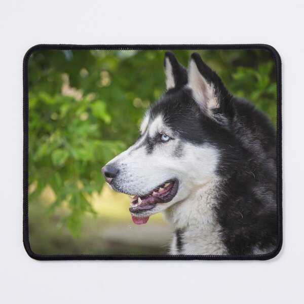 Item preview, Malamute de Alaska designed and sold by WeightPulling.