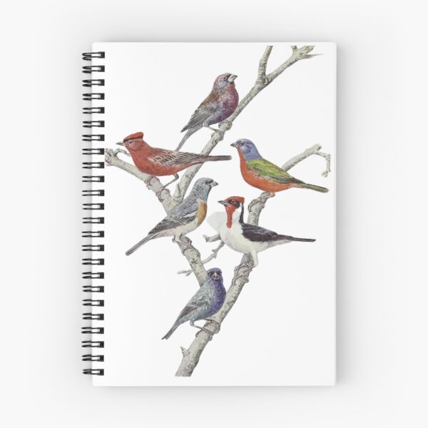 Item preview, "Red Gold Finch" - funny Goldfinches on a tree designed and sold by Obinne.