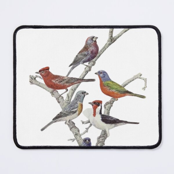 Item preview, "Red Gold Finch" - funny Goldfinches on a tree designed and sold by Obinne.