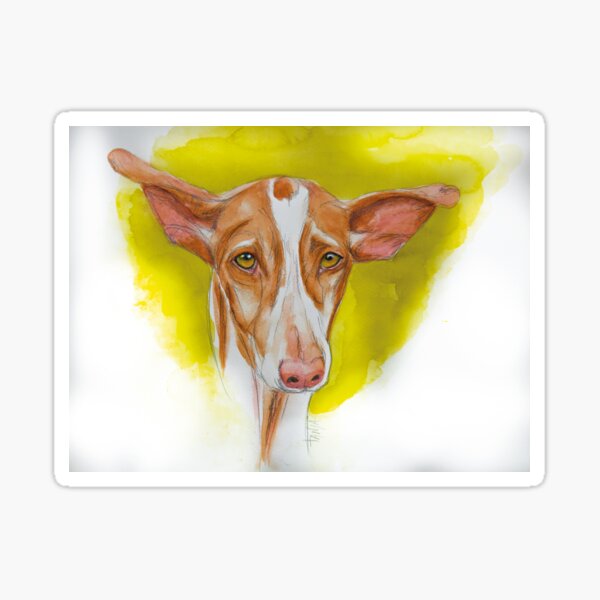 Perro de Ibizan - Podenco Yoda Pegatina