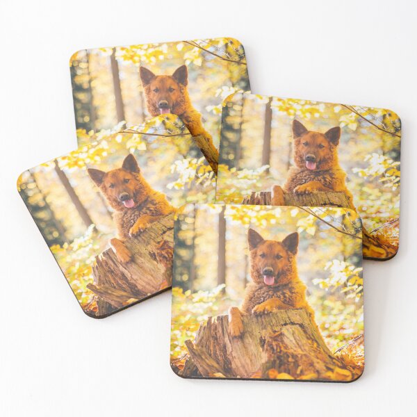 Item preview, Westerwald Kuhhund (Old German Shepherd Dog, Old German Sheepdog) designed and sold by WeightPulling.
