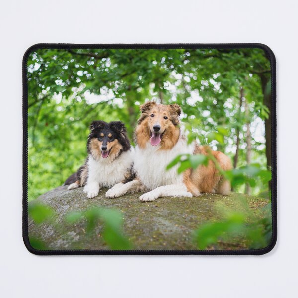Item preview, Two Collies (Two Collies) designed and sold by WeightPulling.