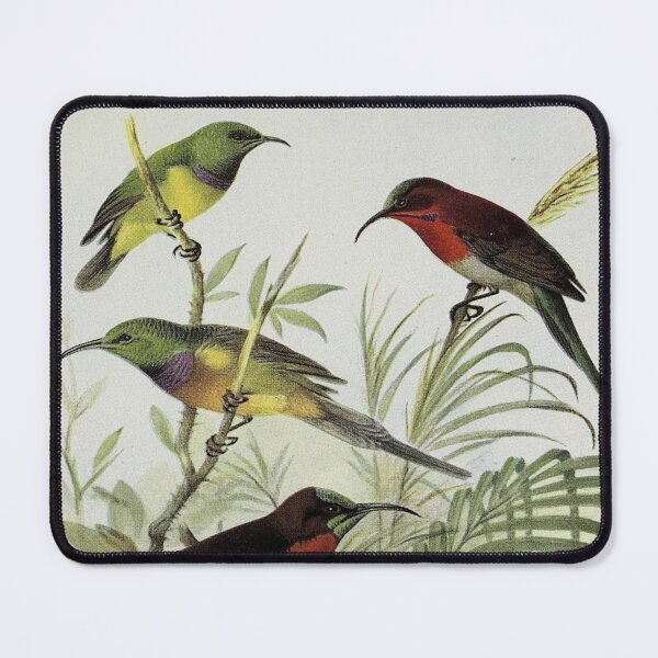 Item preview, Red GoldFinch" - cute Goldfinches on a tree designed and sold by Obinne.