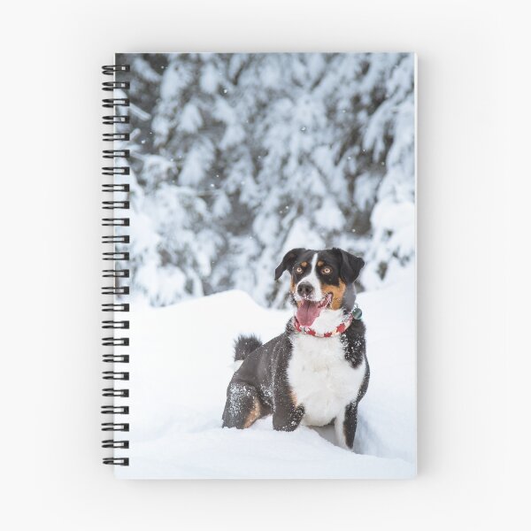 Artikelvorschau, Appenzeller Sennenhund (Appenzell Mountain Dog) entworfen und verkauft von WeightPulling.