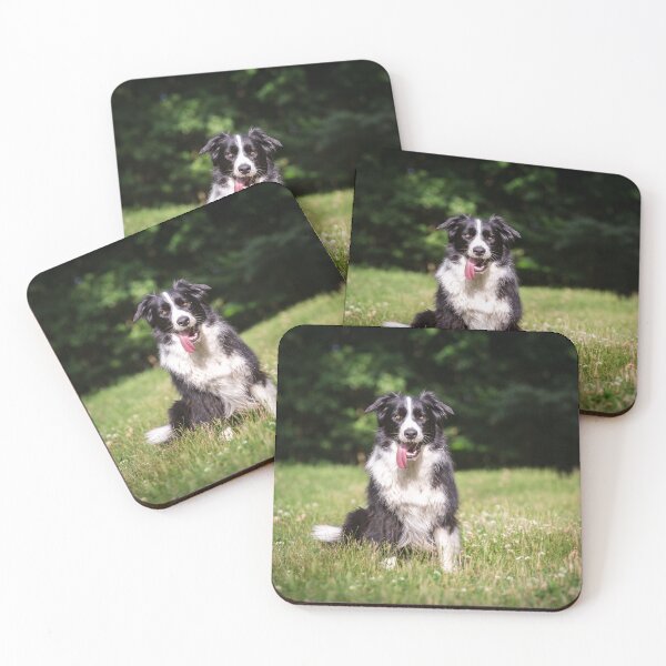 Item preview, Border collie designed and sold by WeightPulling.