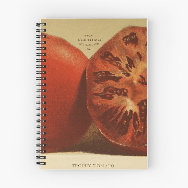Item preview, Vintage Illustration of a Sliced Tomato (1871) designed and sold by BravuraMedia.