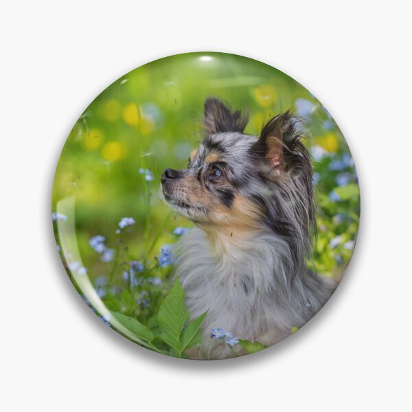 Item preview, chihuahua designed and sold by WeightPulling.