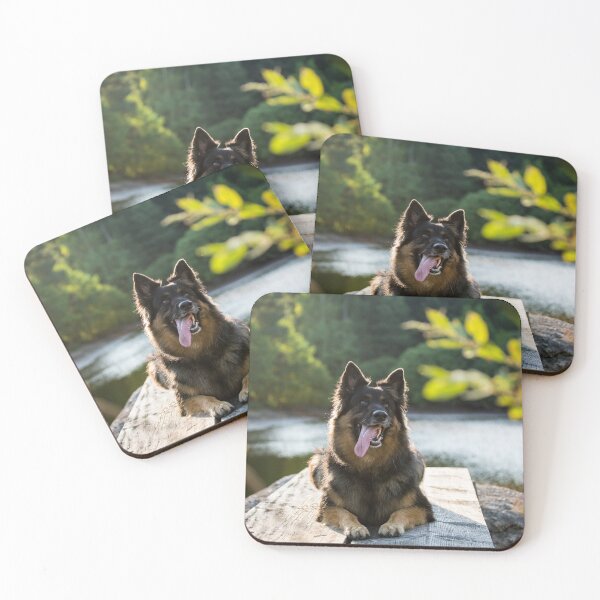Item preview, Chodsky Pes (Chodenland Dog) designed and sold by WeightPulling.