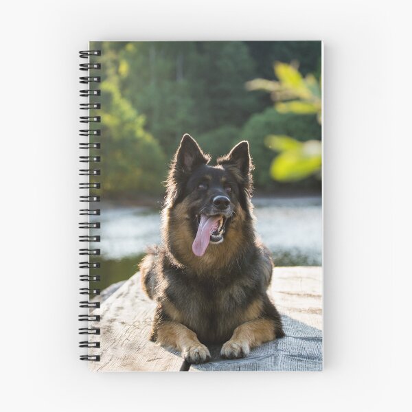 Artikelvorschau, Chodsky Pes (Chodenländer Hund) entworfen und verkauft von WeightPulling.