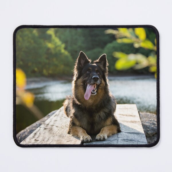 Item preview, Chodsky Pes (Chodenland Dog) designed and sold by WeightPulling.