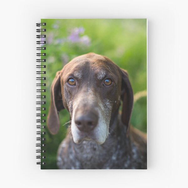 Item preview, German Shorthaired Pointer (German Shorthaired Pointer) designed and sold by WeightPulling.