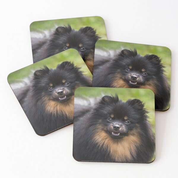 Item preview, Pomeranian (Dwarf Spitz) designed and sold by WeightPulling.