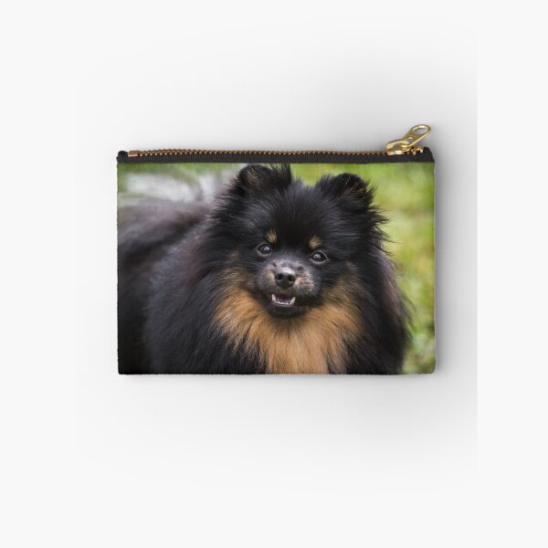 Item preview, Pomeranian (Dwarf Spitz) designed and sold by WeightPulling.