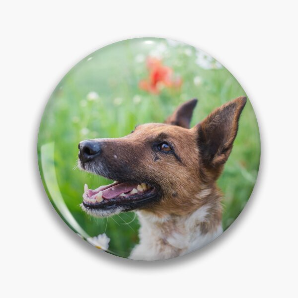 Item preview, Foxterrier designed and sold by WeightPulling.
