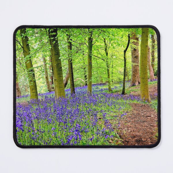 Item preview, Pathway through BlueBells designed and sold by RosRidleyPhoto.